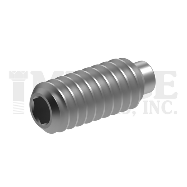 432D04C025SS 4-40 X 1/4 SOC SET SCREW 1/2 DOG PT, STAINLESS